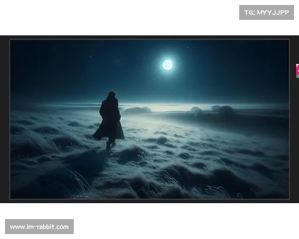月光洒下的指引如何在夜晚寻找失落的灵魂与其归宿 月光洒下的指引如何在夜晚寻找失落的灵魂与其归宿