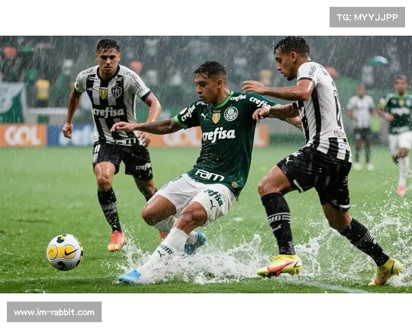 2024世界足球赛焦点全面解析从豪门对决到新星崛起